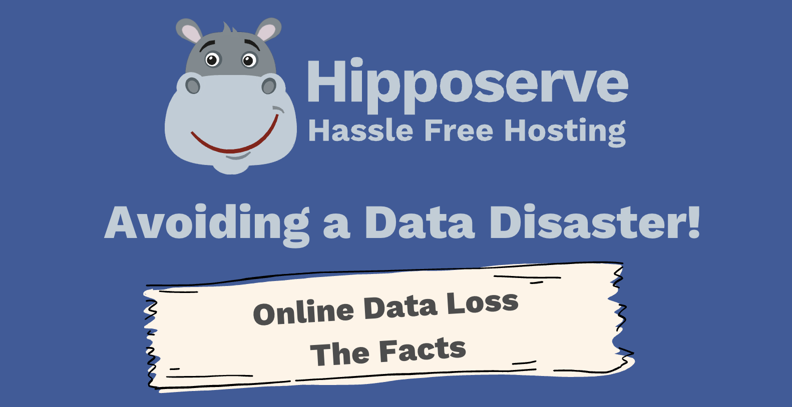 Avoiding a Data Disaster - Hipposerve Blog