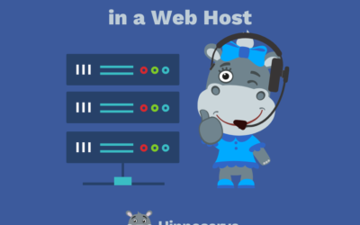 What to Look for in a Web Host