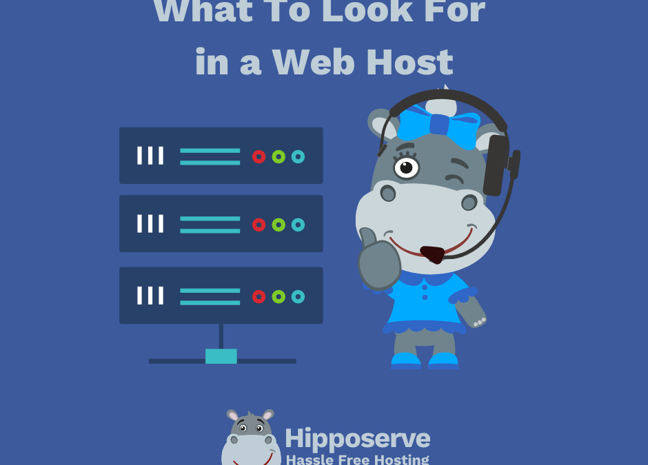 What to Look for in a Web Host