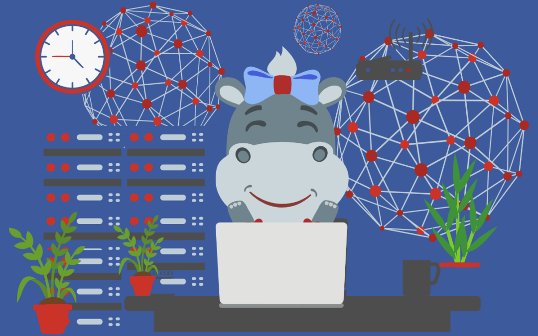 The Hippo’s Guide to DNS